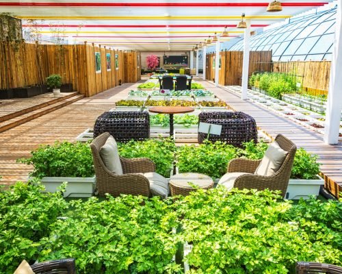 A covered lifestyle garden with indoor and outdoor living